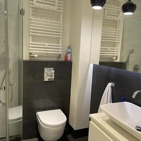 Premium V Z Garazem Apartment