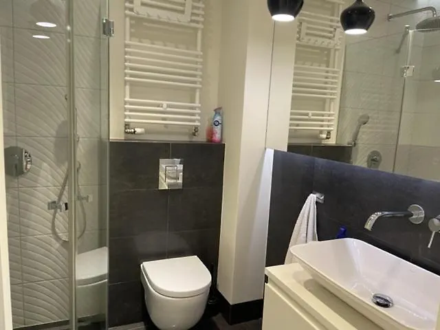 Premium V Z Garazem Apartment